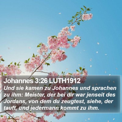 Johannes 3:26 LUTH1912 Bible Verse Image
