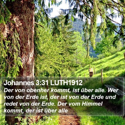 Johannes 3:31 LUTH1912 Bible Verse Image