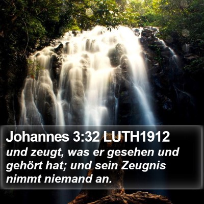 Johannes 3:32 LUTH1912 Bible Verse Image