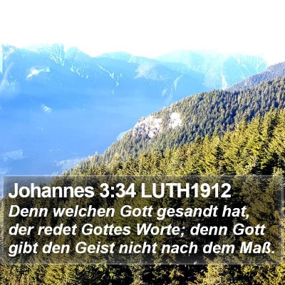 Johannes 3:34 LUTH1912 Bible Verse Image