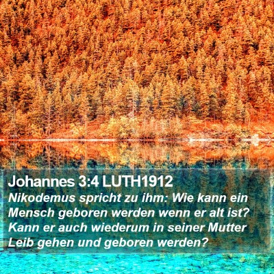 Johannes 3:4 LUTH1912 Bible Verse Image
