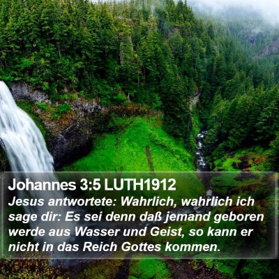 Johannes 3:5 LUTH1912 Bible Verse Image