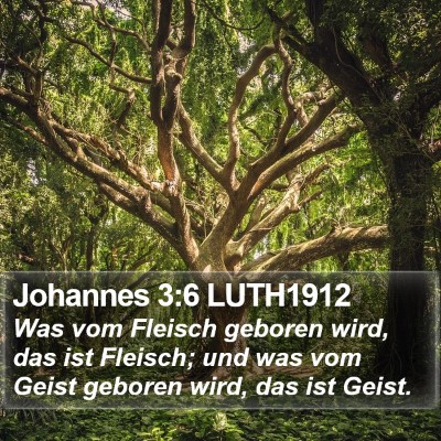 Johannes 3:6 LUTH1912 Bible Verse Image