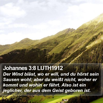 Johannes 3:8 LUTH1912 Bible Verse Image