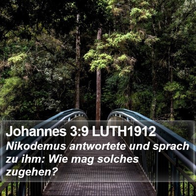 Johannes 3:9 LUTH1912 Bible Verse Image