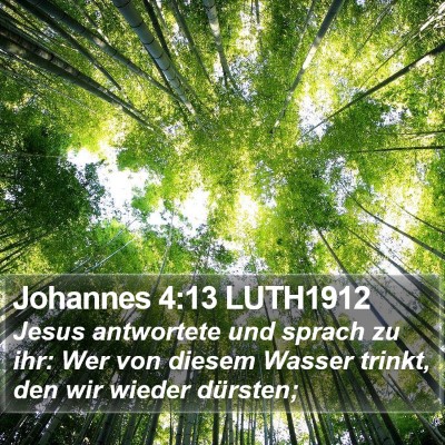 Johannes 4:13 LUTH1912 Bible Verse Image