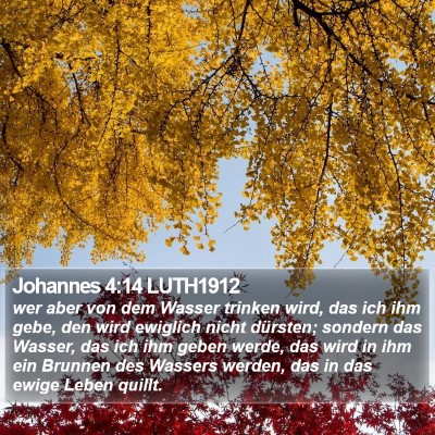 Johannes 4:14 LUTH1912 Bible Verse Image