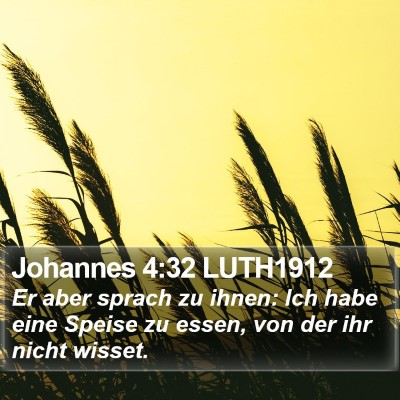 Johannes 4:32 LUTH1912 Bible Verse Image