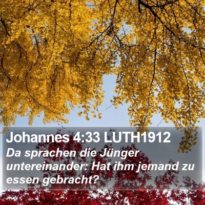 Johannes 4:33 LUTH1912 Bible Verse Image