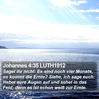 Johannes 4:35 LUTH1912 Bible Verse Image