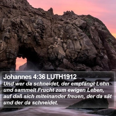 Johannes 4:36 LUTH1912 Bible Verse Image