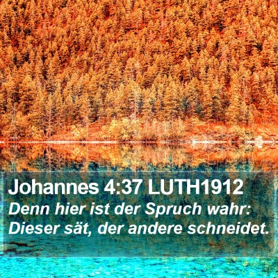 Johannes 4:37 LUTH1912 Bible Verse Image