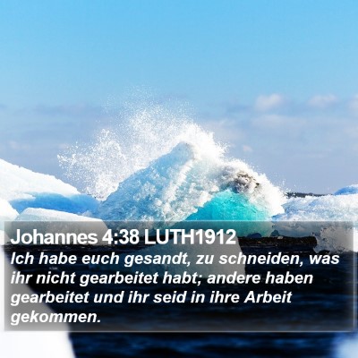 Johannes 4:38 LUTH1912 Bible Verse Image