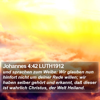 Johannes 4:42 LUTH1912 Bible Verse Image