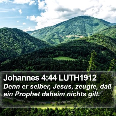Johannes 4:44 LUTH1912 Bible Verse Image