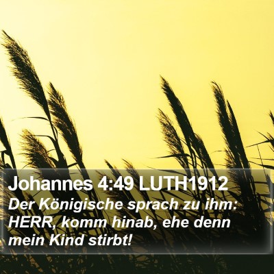 Johannes 4:49 LUTH1912 Bible Verse Image