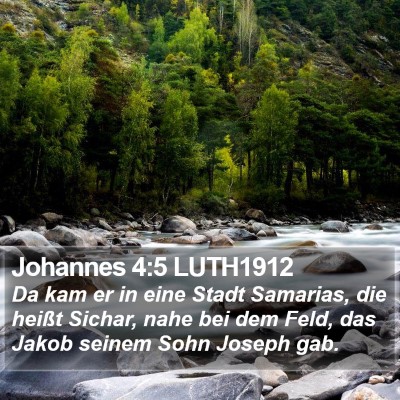Johannes 4:5 LUTH1912 Bible Verse Image