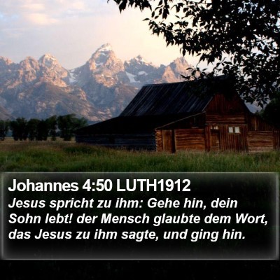 Johannes 4:50 LUTH1912 Bible Verse Image