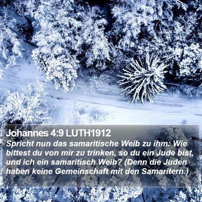 Johannes 4:9 LUTH1912 Bible Verse Image