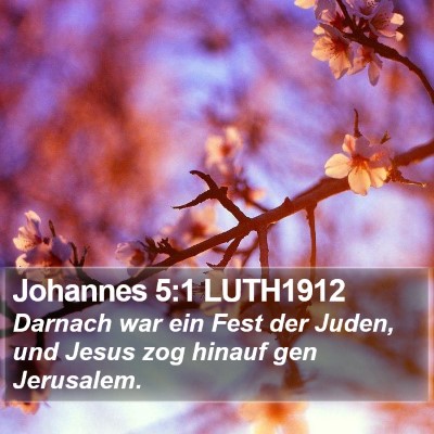Johannes 5:1 LUTH1912 Bible Verse Image