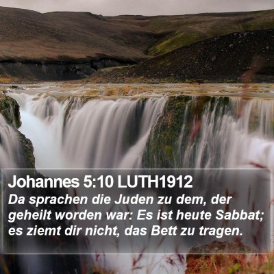 Johannes 5:10 LUTH1912 Bible Verse Image