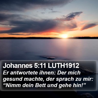 Johannes 5:11 LUTH1912 Bible Verse Image