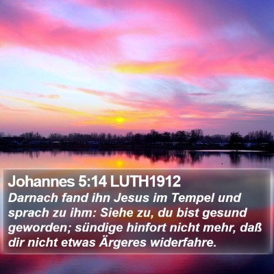 Johannes 5:14 LUTH1912 Bible Verse Image