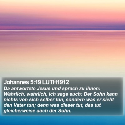 Johannes 5:19 LUTH1912 Bible Verse Image