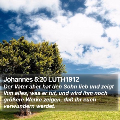 Johannes 5:20 LUTH1912 Bible Verse Image