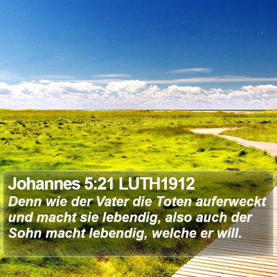Johannes 5:21 LUTH1912 Bible Verse Image