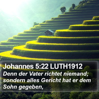 Johannes 5:22 LUTH1912 Bible Verse Image