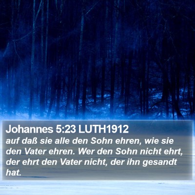 Johannes 5:23 LUTH1912 Bible Verse Image