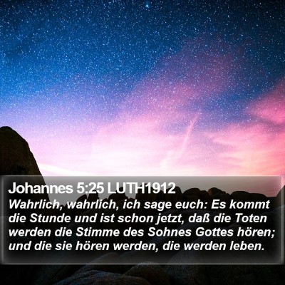 Johannes 5:25 LUTH1912 Bible Verse Image