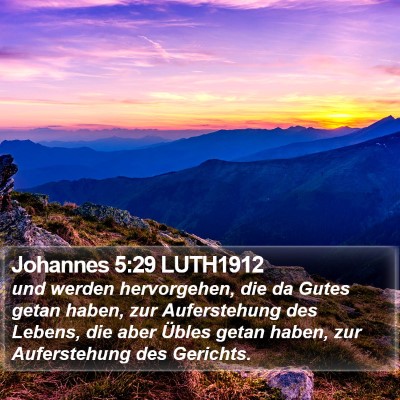 Johannes 5:29 LUTH1912 Bible Verse Image