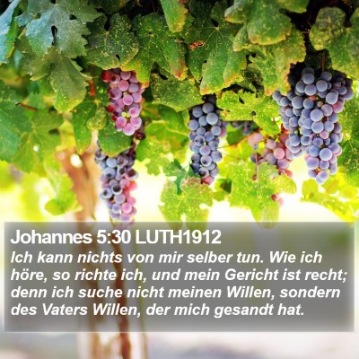 Johannes 5:30 LUTH1912 Bible Verse Image