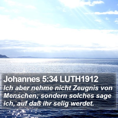 Johannes 5:34 LUTH1912 Bible Verse Image