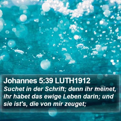 Johannes 5:39 LUTH1912 Bible Verse Image