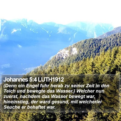 Johannes 5:4 LUTH1912 Bible Verse Image