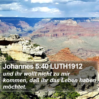Johannes 5:40 LUTH1912 Bible Verse Image