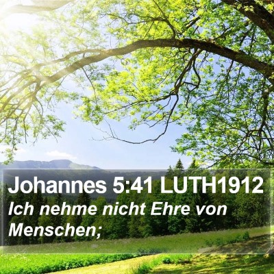 Johannes 5:41 LUTH1912 Bible Verse Image