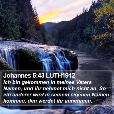 Johannes 5:43 LUTH1912 Bible Verse Image