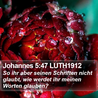 Johannes 5:47 LUTH1912 Bible Verse Image