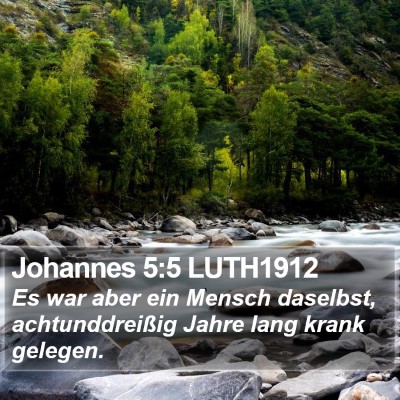Johannes 5:5 LUTH1912 Bible Verse Image