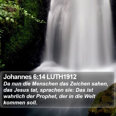 Johannes 6:14 LUTH1912 Bible Verse Image