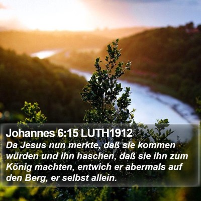 Johannes 6:15 LUTH1912 Bible Verse Image