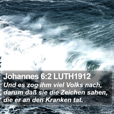Johannes 6:2 LUTH1912 Bible Verse Image