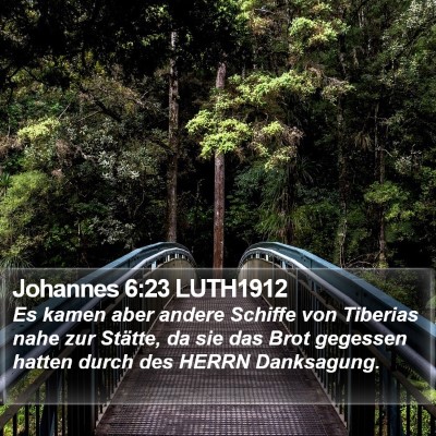 Johannes 6:23 LUTH1912 Bible Verse Image