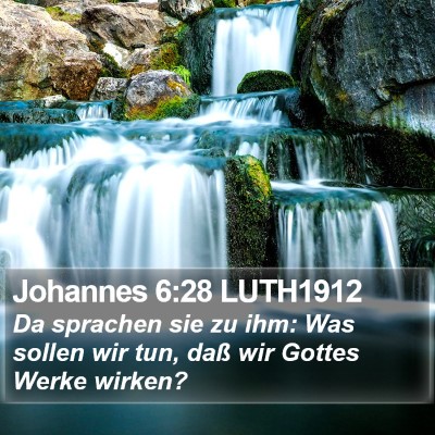 Johannes 6:28 LUTH1912 Bible Verse Image