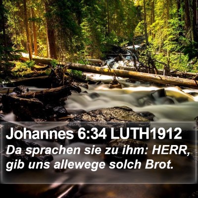 Johannes 6:34 LUTH1912 Bible Verse Image
