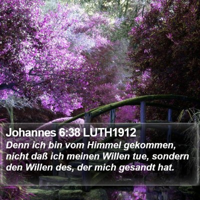 Johannes 6:38 LUTH1912 Bible Verse Image
